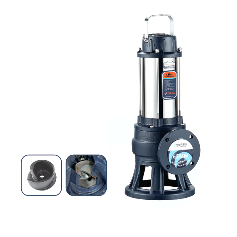 B系列(65WQD25-7-1.5B 法兰)