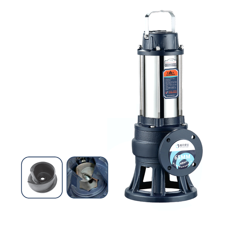 B系列(65WQD25-10-2.2B不锈钢 法兰)