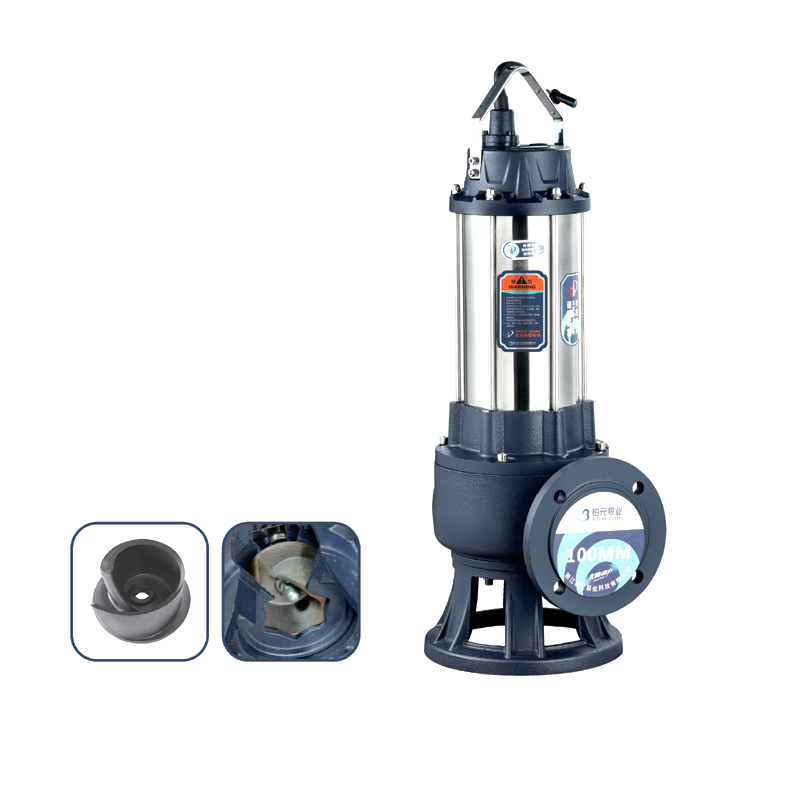 B系列(100WQ65-15-5.5B不锈钢 法兰)