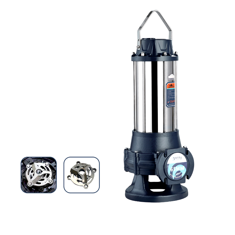 AS系列(50WQDAS10-40-5.5不锈钢)