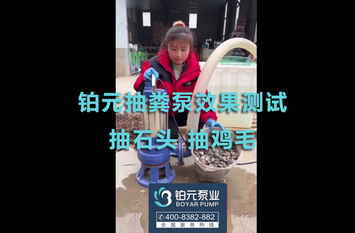 铂元抽粪泵效果测试 抽石头 抽鸡毛